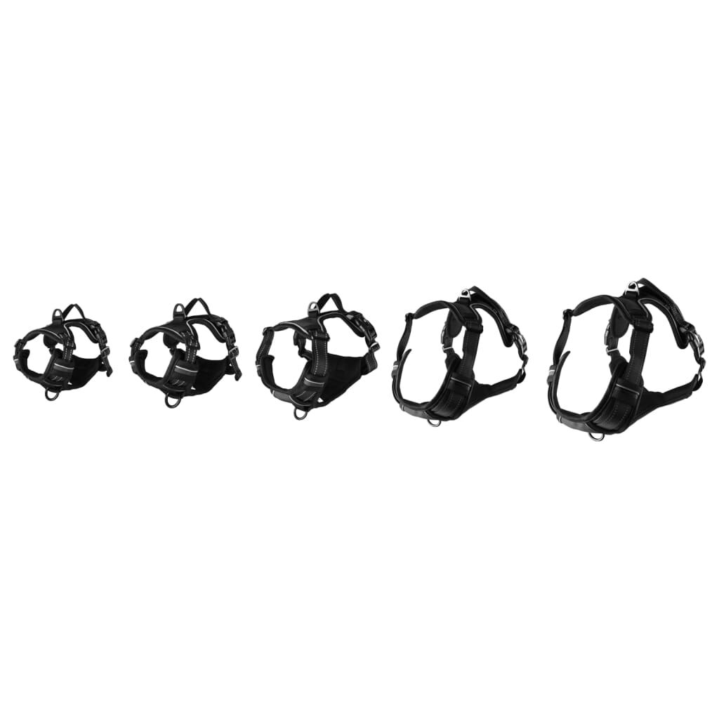 Arn&eacute;s Para Perros, , large Imagen numero 18