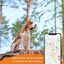 Weenect XS - GPS para perro (Blanco), , large indicador imagen numero 3