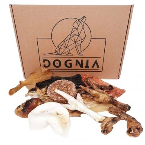 Caja de snacks naturales con pollo, cerdo y vacuno para perros, , large Imagen numero 1