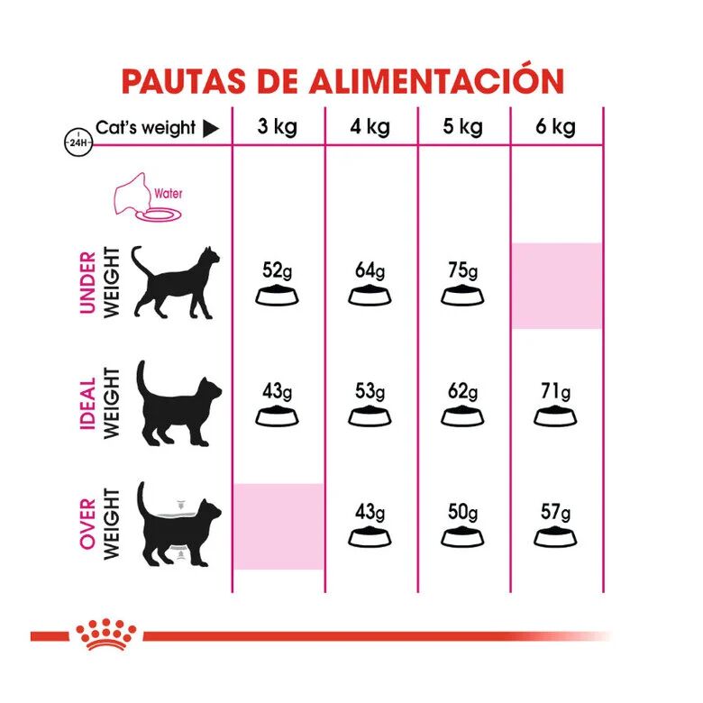 Royal Canin Adult Exigent Protein pienso para gatos thumbnail