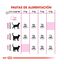 Royal Canin Adult Exigent Protein pienso para gatos, , large indicador imagen numero 6