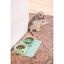 Comedero pets club verde, , large indicador imagen numero 4