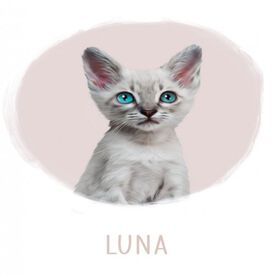 Mascochula luna retrato realista personalizado en digital con tu mascota rosa palo