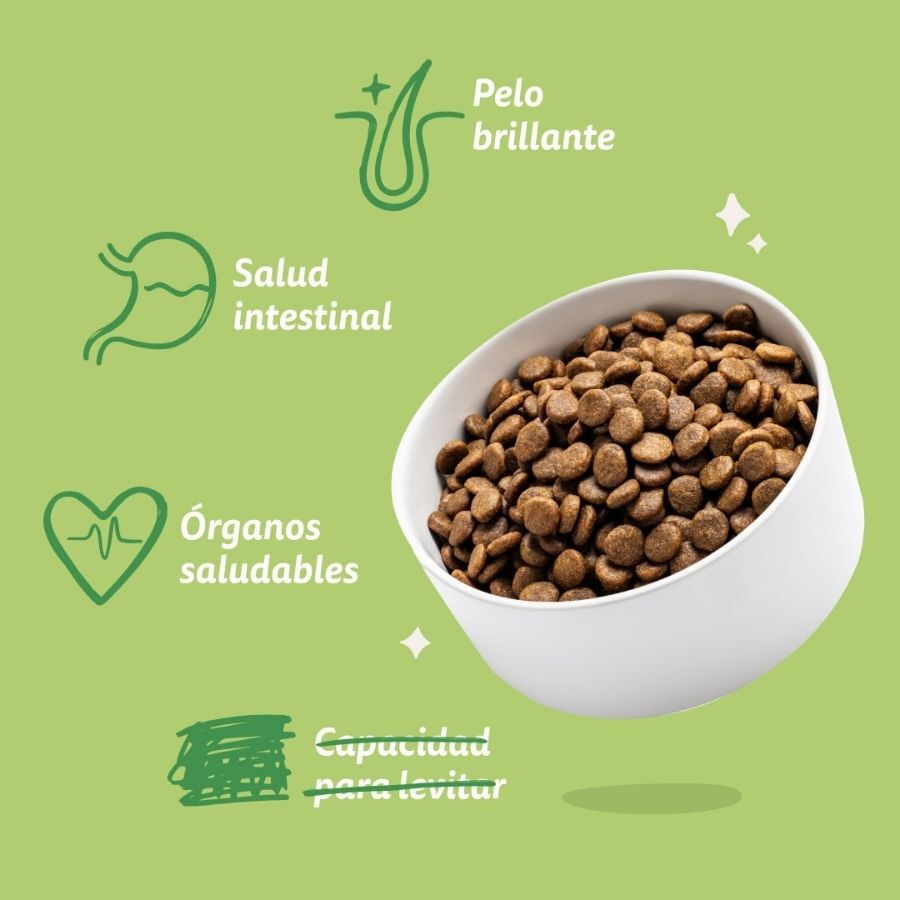 12 kg Edgard & Cooper Adult Cordero pienso para perros grandes, , large Imagen numero 5