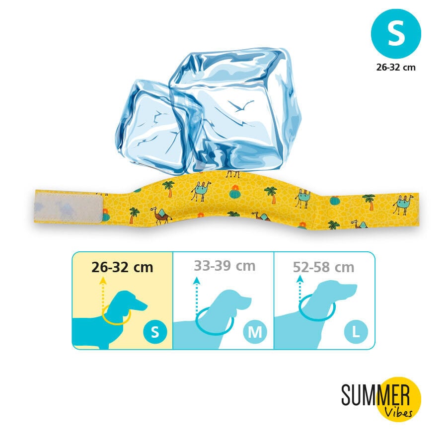 Summer Vibes Bandana refrescante para perros thumbnail