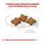 Royal Canin X-Small Sterilised pienso para perros, , large indicador imagen numero 4