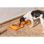 Comedero wall off pets club pequeño, , large indicador imagen numero 2