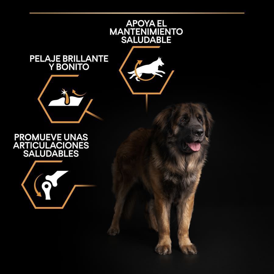 Pro Plan Large Robust Adult pienso para perros thumbnail