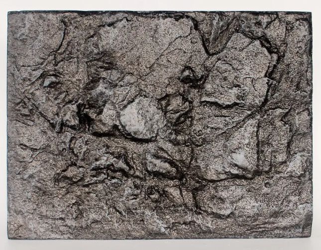 Reptilhábitat Fondo Decorativo Para Terrarios