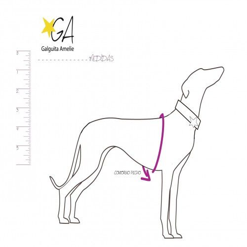 Galguita amelie peto de licra fucsia y turquesa para galgos y podencos, , large Imagen numero 2