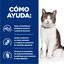 82 g Hill’s Prescription Diet Gastrointestinal Biome Stress estofado lata para gatos, , large indicador imagen numero 4