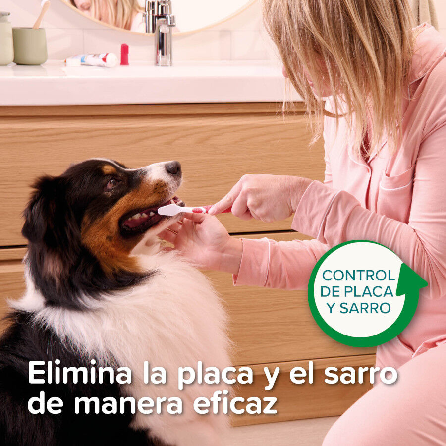Beaphar Pasta Dental  Menta  Perejil para Perros y Gatos thumbnail