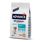 pienso_perros_affinity_advance_puppy_mini_3kg_ADV501110_M.jpg image number null