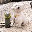 Funda para botellas Bowipi con aplique militar color Caqui, , large indicador imagen numero 4