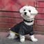 Camiseta para perros Groc Groc Nun Star gris, , large indicador imagen numero 2