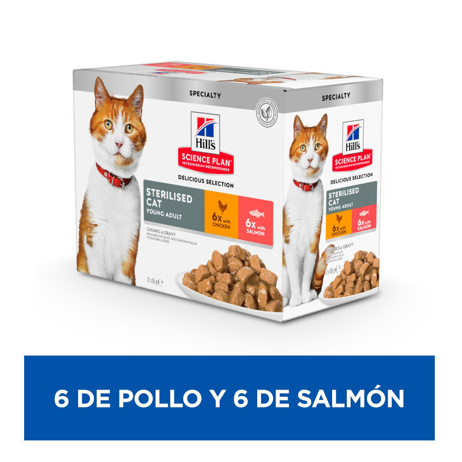 12 sobres x 85 g Hill's Science Plan Sterilised Adult Pollo y Salm&oacute;n en Salsa sobre para gatos, , large Imagen numero 2