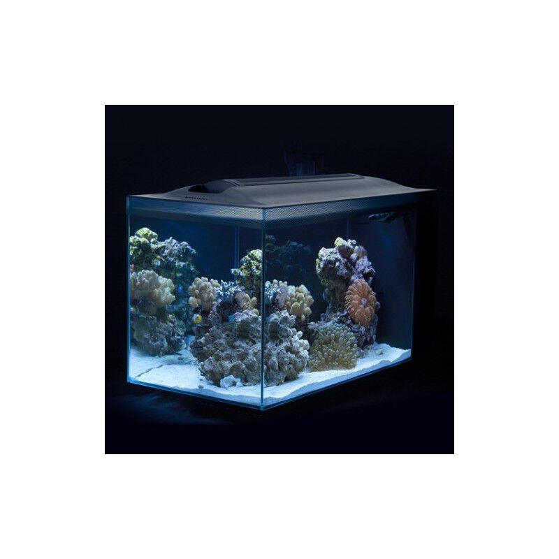 Fluval Evo Acuario Marino, Negro, 52L, , large Imagen numero 5