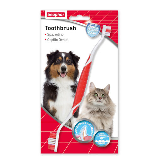 Beaphar kit dental pasta y cepillo para perros image number null