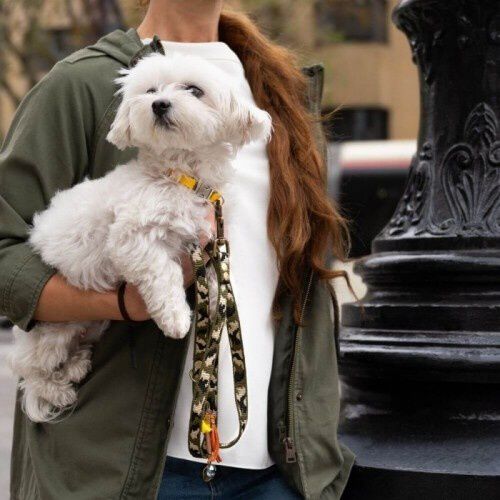 Correa Luckly Gris Camuflaje para perros color Kaki, , large Imagen numero 2