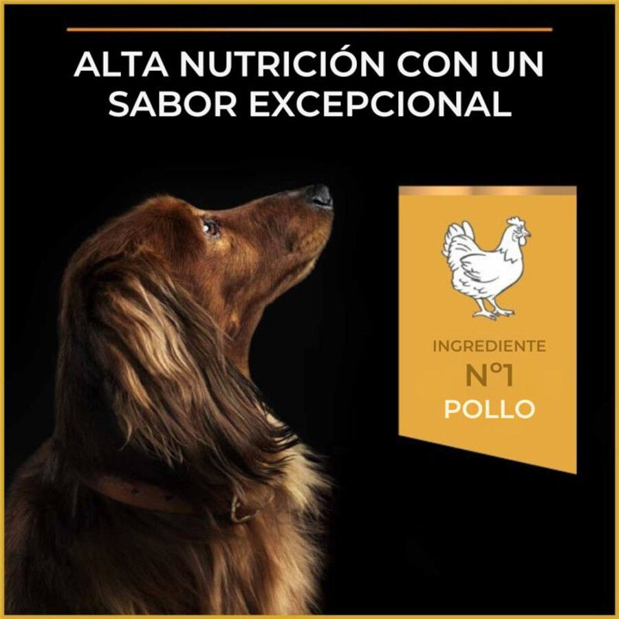 Purina Pro Plan Adult Light Esterilizado Pienso Pollo para perros, , large Imagen numero 6