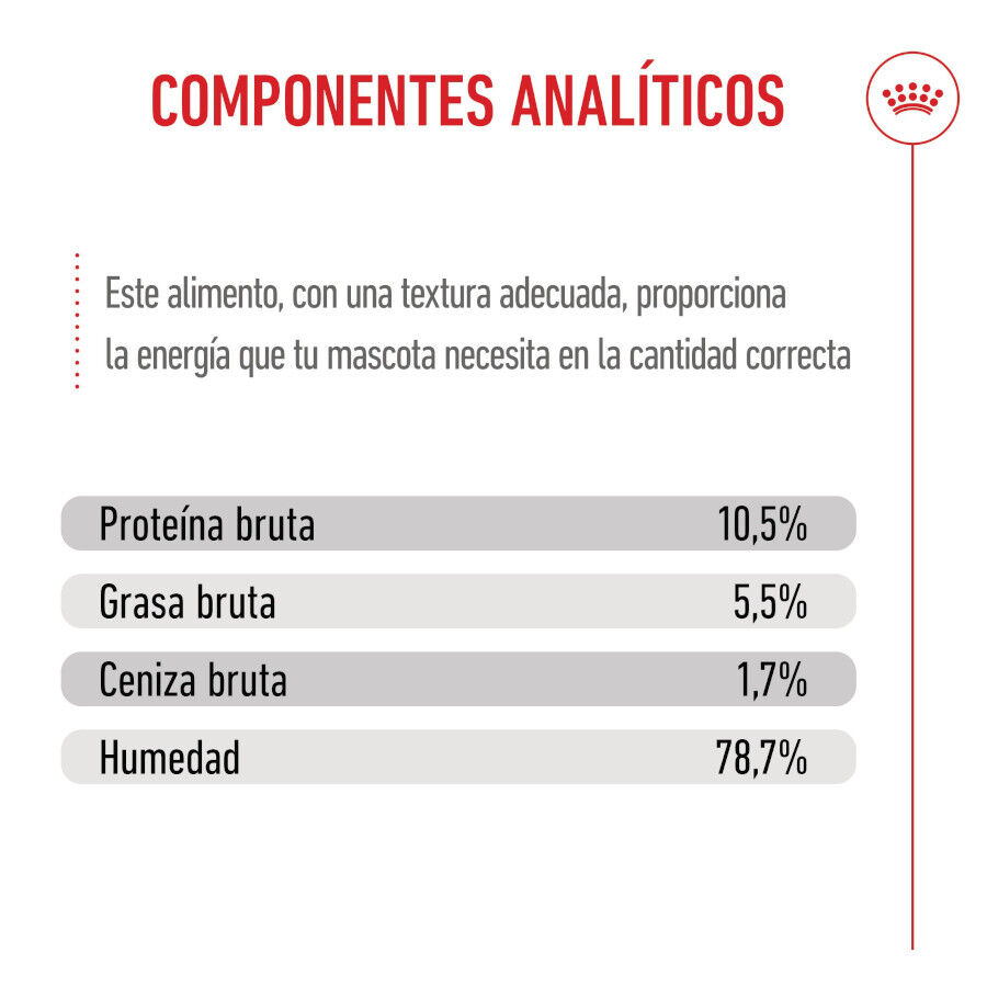 Royal Canin Mother &amp; Baby mousse latas para gatos thumbnail