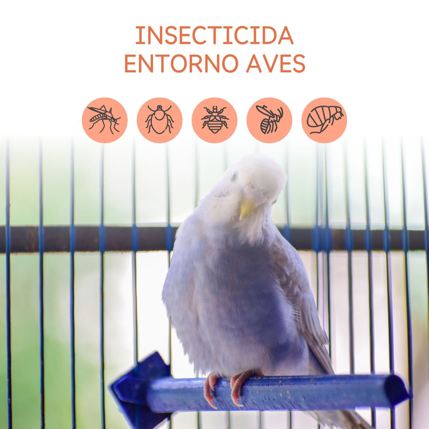 Spray Insecticida entorno Aves 500 ml, , large Imagen numero 3
