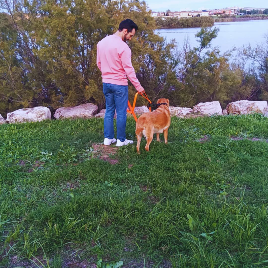 EGV - Correa multiposicion perro con doble asa de neopreno. Correa perro manos libres de 2,50 metros de longitud. (Naranja), , large Imagen numero 5