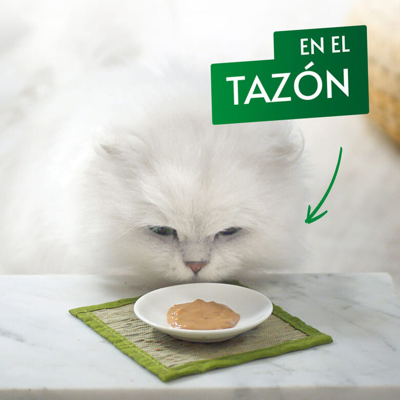 Gourmet Nature’s Creations Snack Húmedo de Pollo para gatos thumbnail