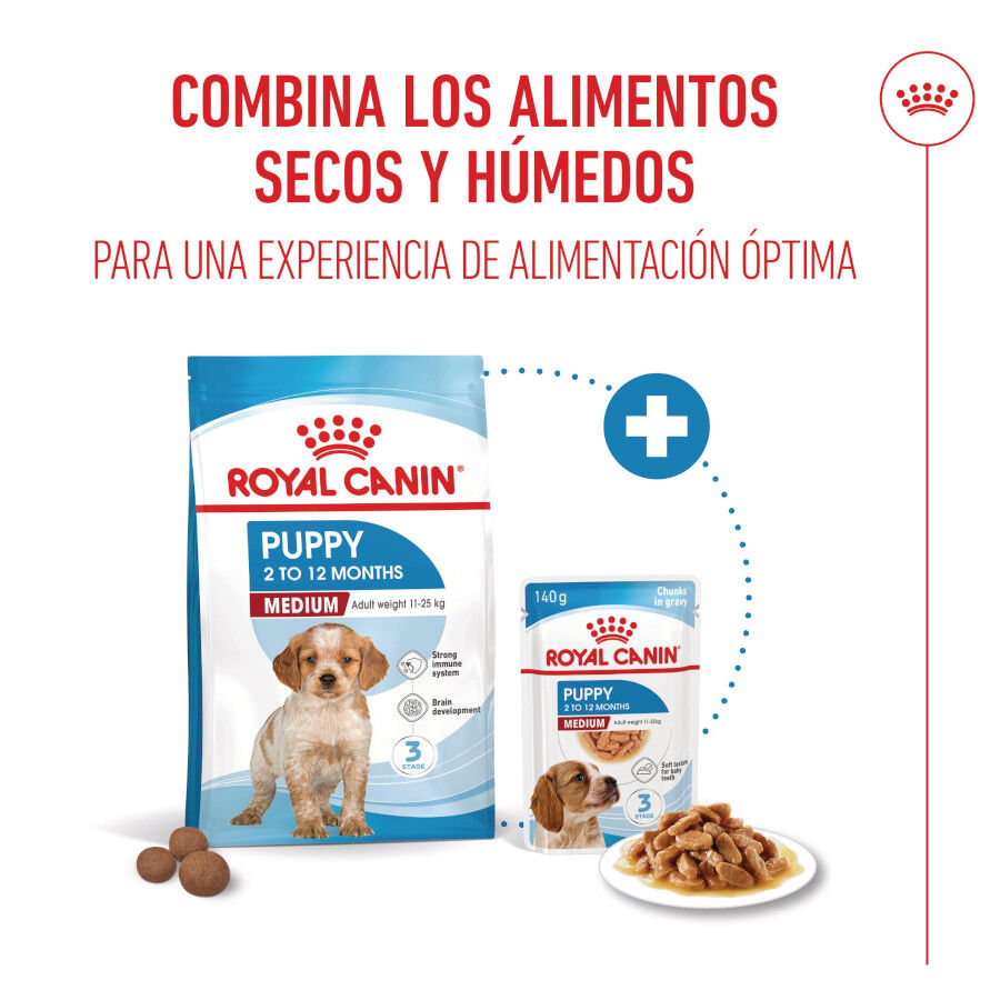 Royal Canin Medium Puppy Sobres para perros thumbnail