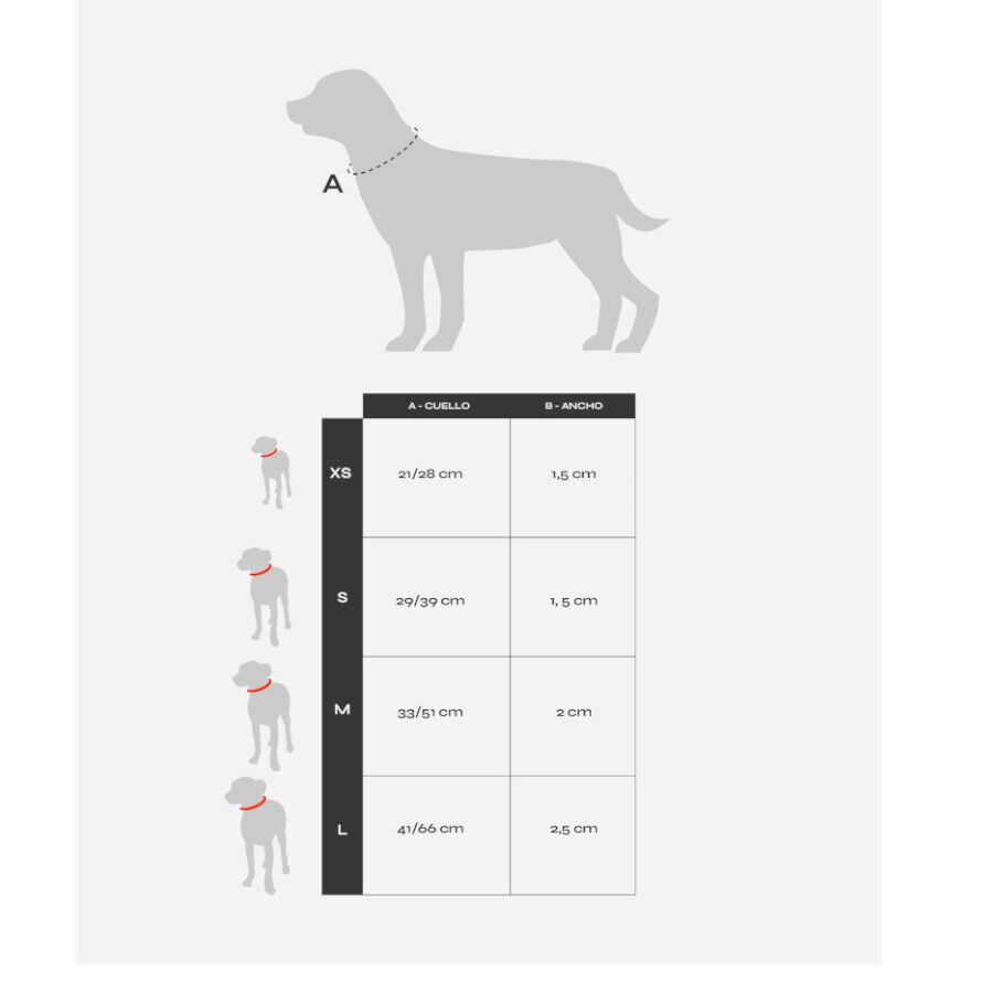 Dukier Collar Estampado Tortugas para perros thumbnail