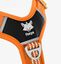 Arn&eacute;s CountryFox&trade; Pro &bull; Naranja, , large indicador imagen numero 1