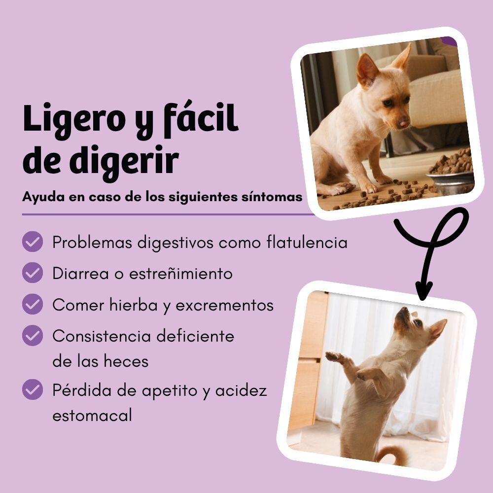 BugBell BellyVital Pienso 5&times;800 g &ndash; Hipoalerg&eacute;nico, sin cereales, con prote&iacute;na de insecto, psyllium, prebi&oacute;ticos y ar&aacute;ndanos, , large Imagen numero 4