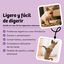 BugBell BellyVital Pienso 800 g – Hipoalergénico, sin cereales, con proteína de insecto, psyllium, prebióticos y arándanos, , large indicador imagen numero 4
