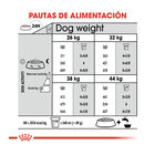 Royal Canin Joint Care Maxi pienso para perros, , large image number null