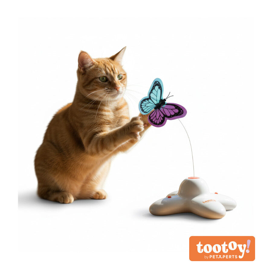 Tootoy! Mariposa Se&ntilde;uelo Interactiva para gatos, , large Imagen numero 11