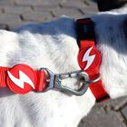 Collar para perros color Rojo, , large image number null