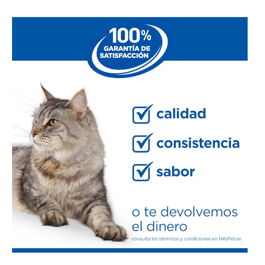 1.5 kg Hill's Science Plan Pienso Salm&oacute;n para gatitos, , large Imagen numero 6