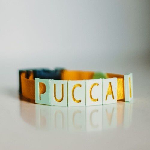 Seron collar personalizado de nylon amarillo y verde menta para mascotas, , large Imagen numero 1