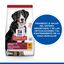 14 kg Hill's Science Plan Adult Large Pollo pienso para perros, , large indicador imagen numero 3