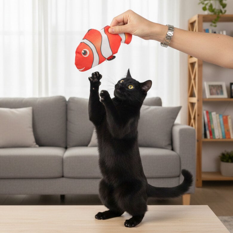 Tootoy! Juguete Interactivo Pez Payaso para gatos