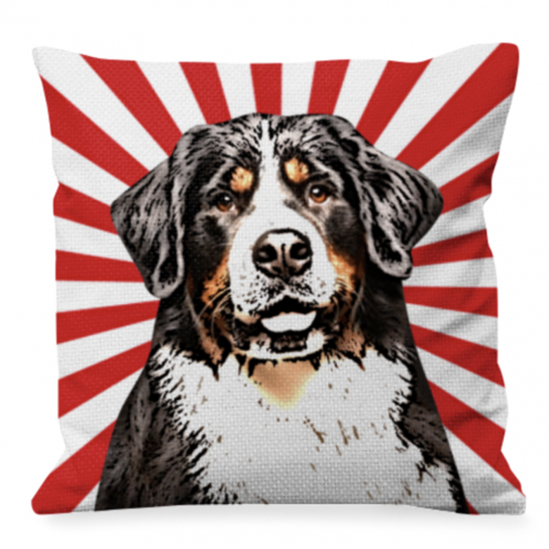 Cojin Personalizado rayas color Rojo, , large image number null