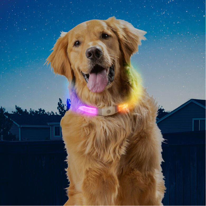 Nite Ize NiteHowl Max Collar de Seguridad LED para perros thumbnail