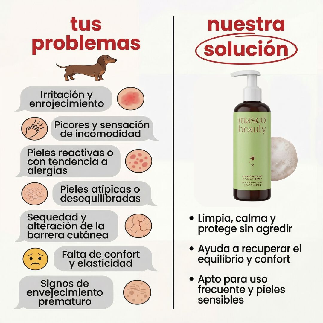Champ&uacute; Skin-Therapy Pistacho y Avena para perros &middot; Antipicores &middot; Calma rojeces e irritaciones &middot; Piel sensible y reactiva &middot; Hecho en Espa&ntilde;a, , large Imagen numero 3