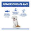 1.5 kg Hill's Science Plan Hipoalergénico Small y Mini Salmón pienso para perros, , large indicador imagen numero 4
