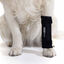 Soporte de Carpo para Perros con Artrosis, Lesiones en Ligamentos, Carpo Inestable, , large indicador imagen numero 2