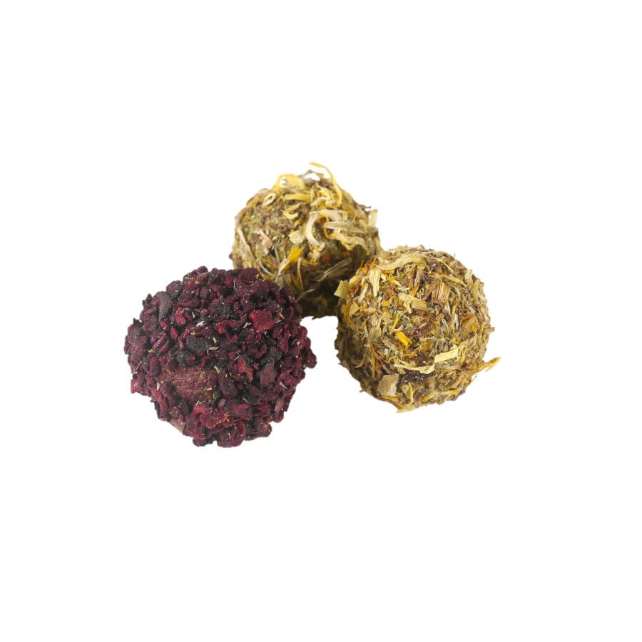 Rosewood Bolitas de Snacks Navideños para Roedores thumbnail