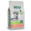 OASY GATO ADULT ESTERIL. SALMON 1.5 KG, , large indicador imagen numero 1
