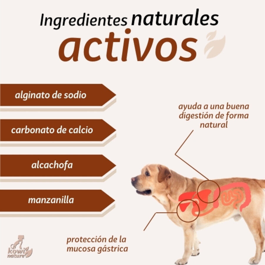 KOWI GASTRIC, 60 COMPRIMIDOS, , large Imagen numero 4