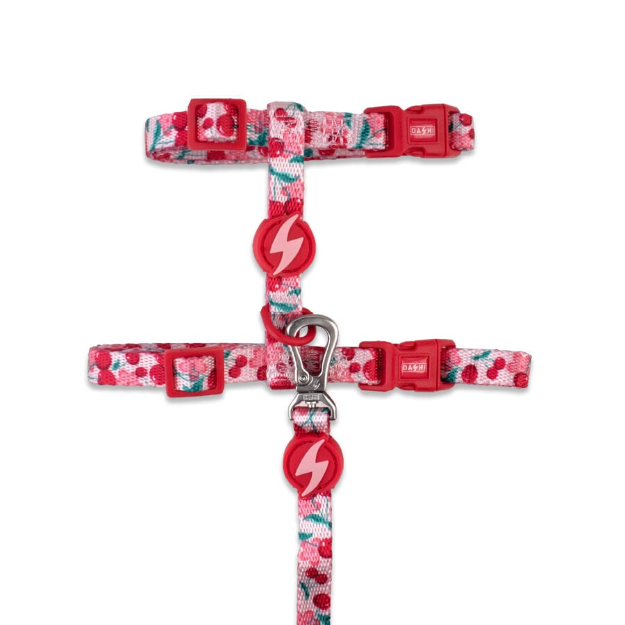 Dashi Arnés y Correa Eco Bloom para gatos