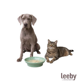 Leeby Comedero Antivoracidad Verde para perros y gatos